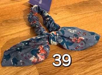 Blue bird 39