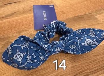 Bluey 14