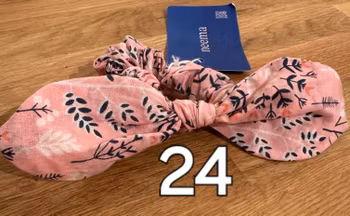 The flamingo 24