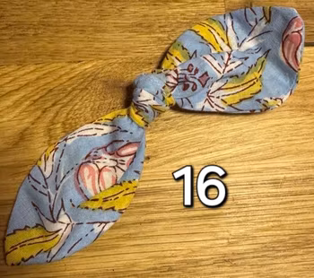 Vestlandet 16