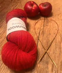 Kabel till rundsticka Micron Needles x Knitritious' Yarns