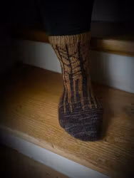 Primeval Forest Socks (English)