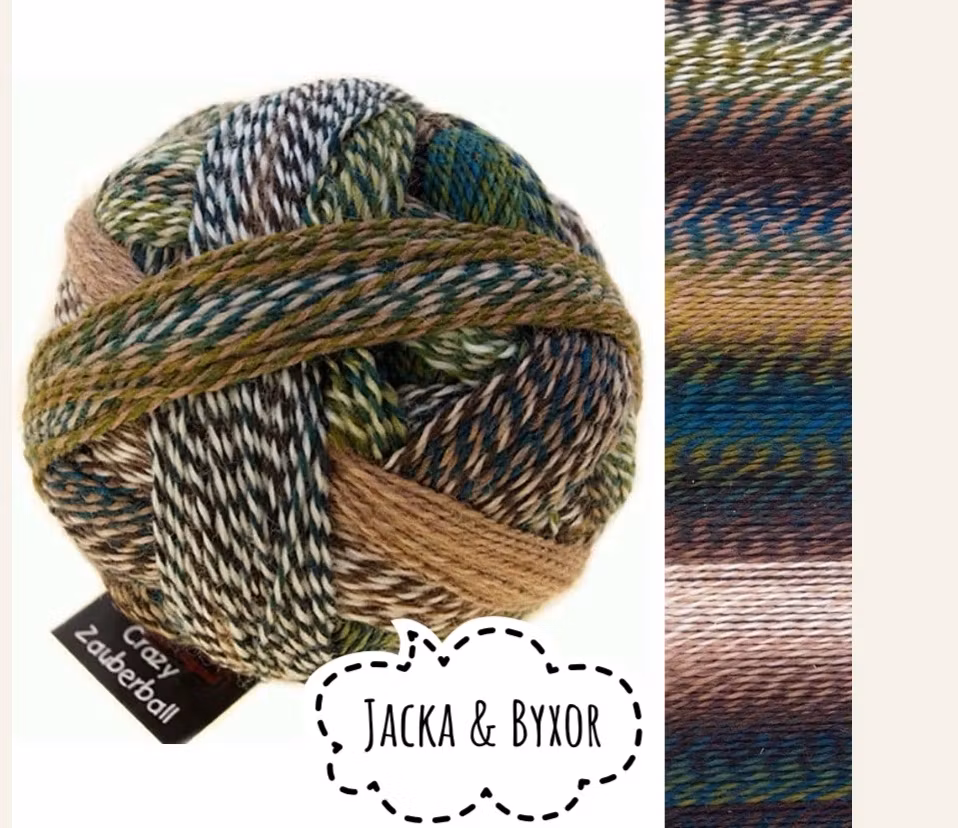 Raggsocksgarn Zauberball Stärke 6