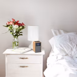 Philips TAR5005  Radio med trähölje. Klocka och 20st snabbval