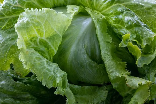 Blonde de Paris, bataviasallat