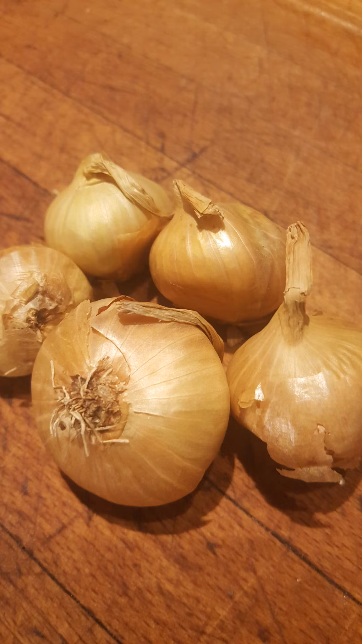 Torsås, potatislök