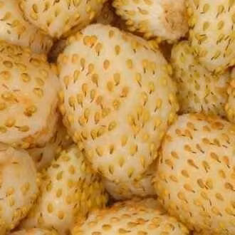 Smultron, Yellow Wonder