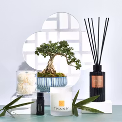 Oriental Essence Doftpinnar