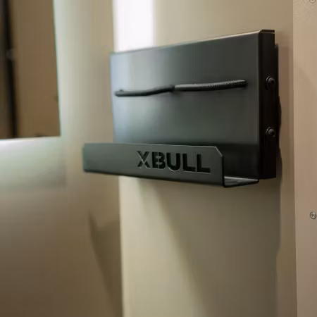 Tandborsthållare (XBull)