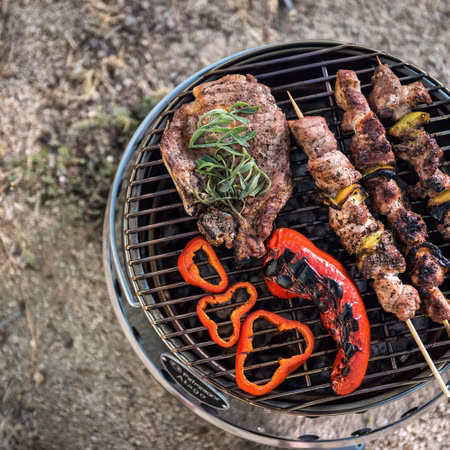 Atago Grill (Petromax) DEMO oanvänd inklusive väska!