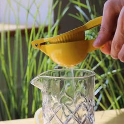 Royal Citrus press gul, metall