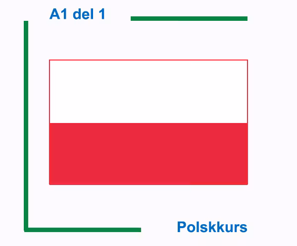 Polskkurs nybegynner del 1 (Nivå A1)