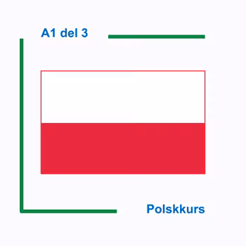 Polskkurs nybegynner del 3  (Nivå A1)