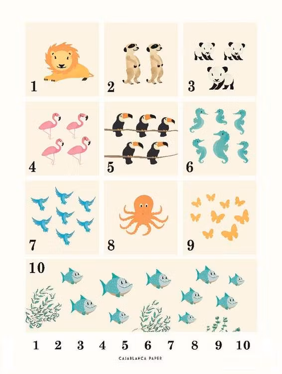 Poster Animals 123, Casablanca paper