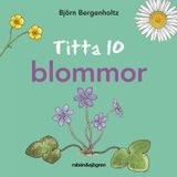 Titta 10 blommor, Björn Bergenholtz