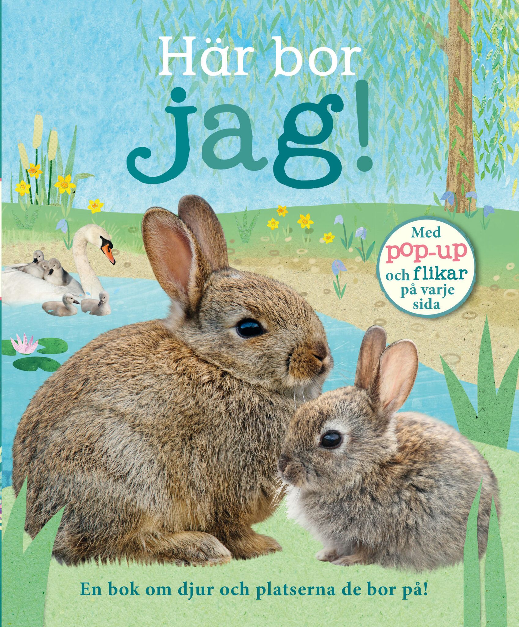 Här bor jag!, Satu Hämeenaho-Fox