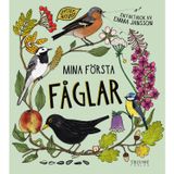 Upptäck naturen, Mina första fåglar