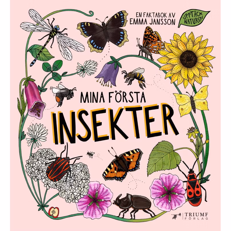 Upptäck naturen, Mina första insekter