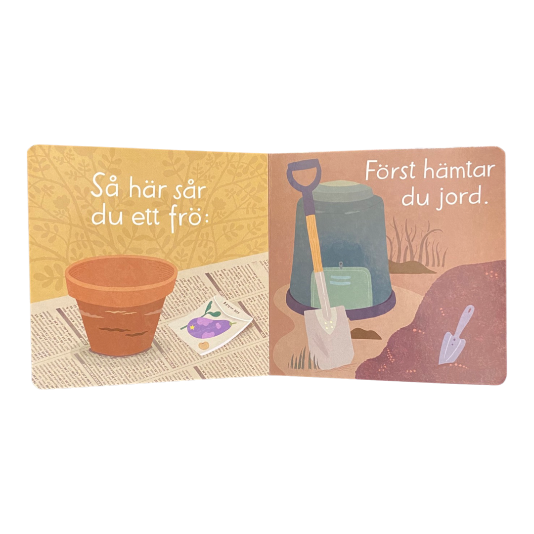 Att så ett frö, Lena Sjöberg