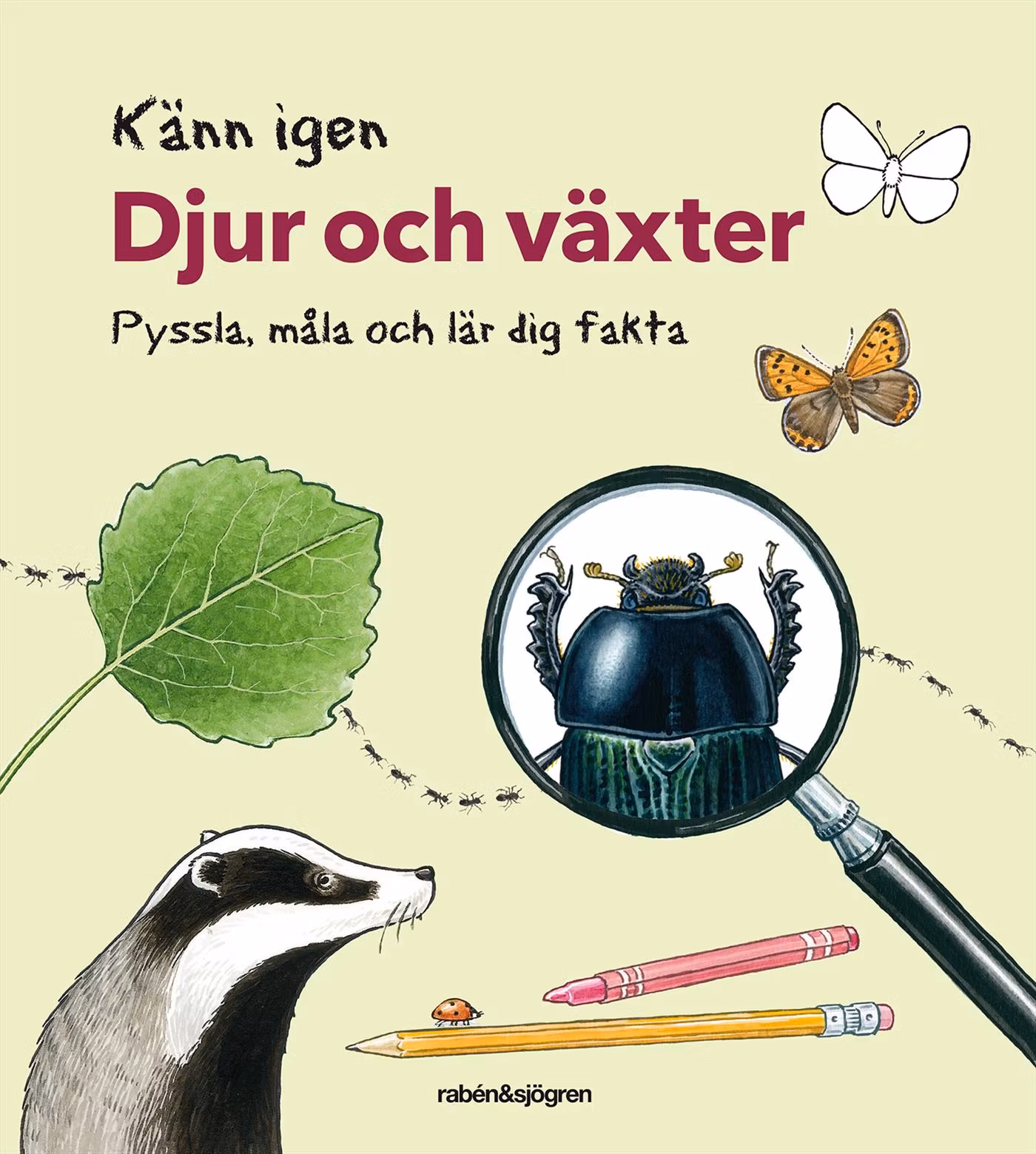 Känn igen djur och växter - pysselbok