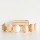 Trälåda - ägg, Le toy van