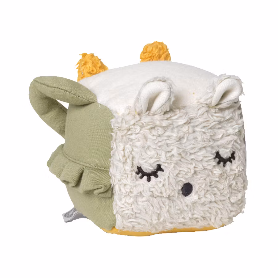 Fred Activity Cube