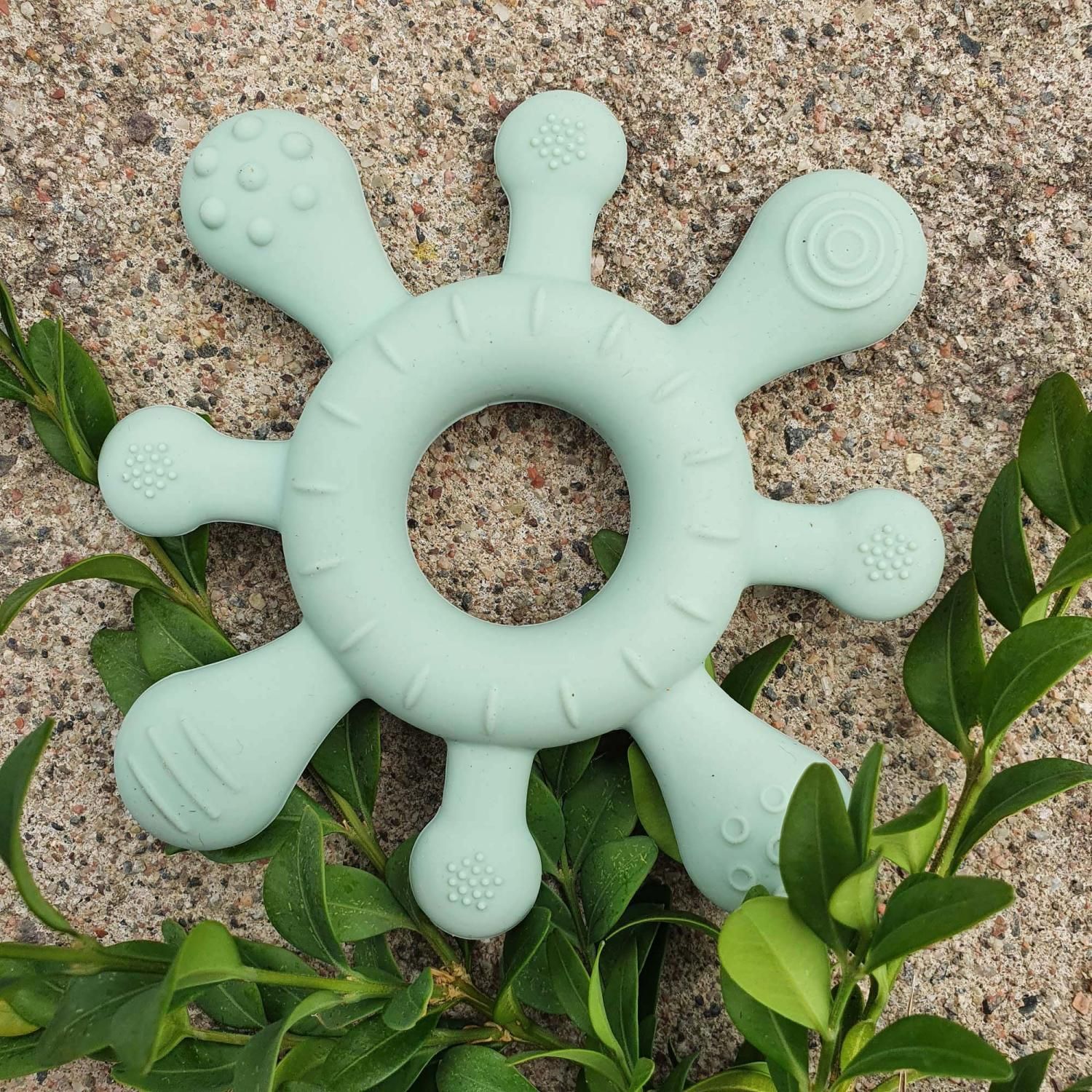 Bitleksak korall, cameo green