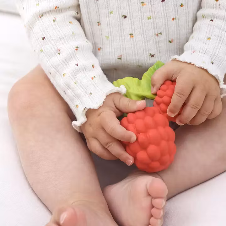 Bitleksak Hallon naturgummi