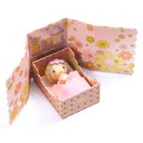 Rose Tinyroom, Tinyly