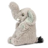 Baby Elephant