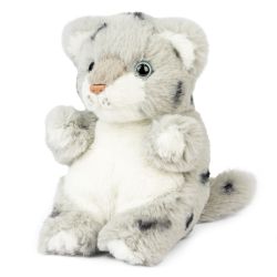 Snow Leopard Baby