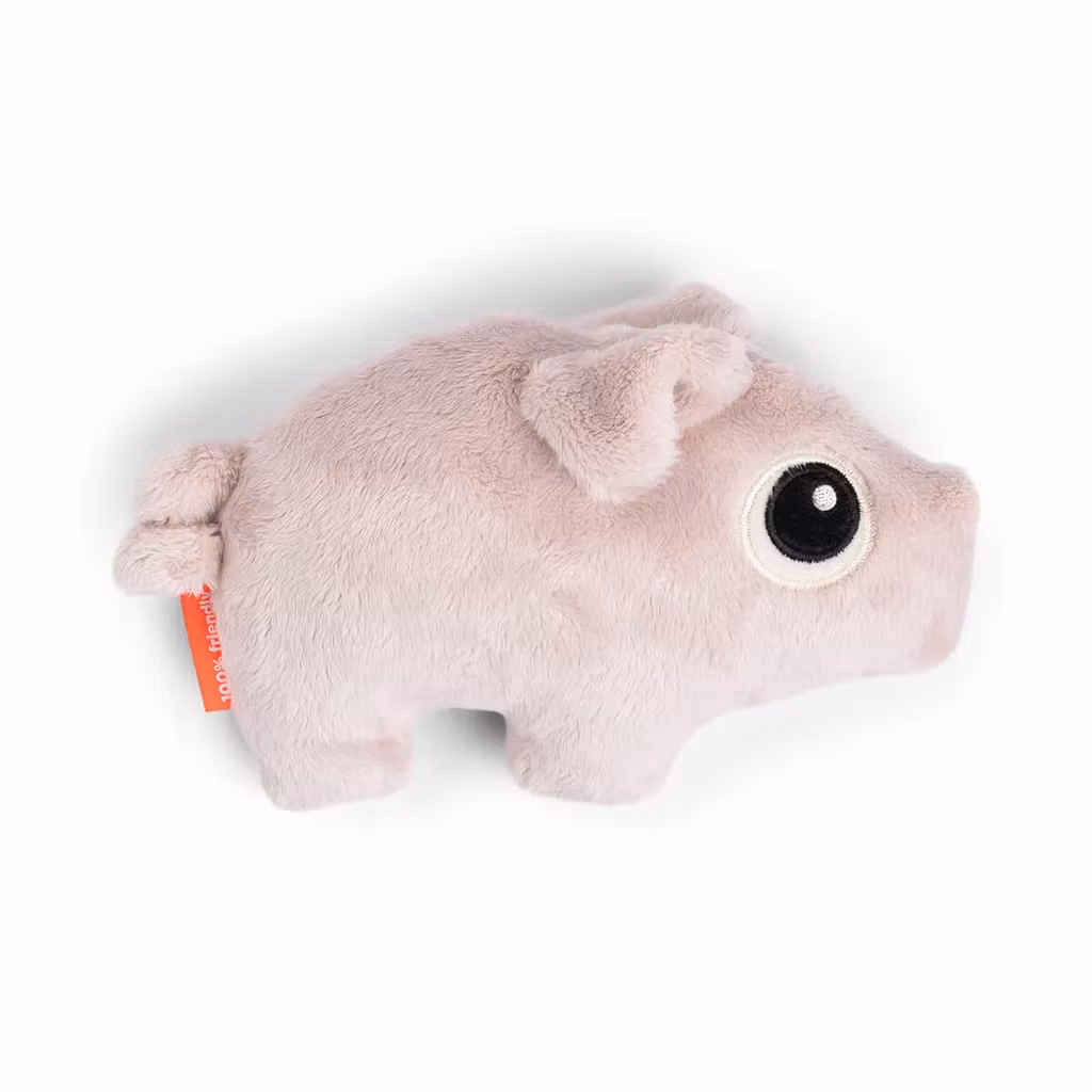 Cuddle cute Pigee