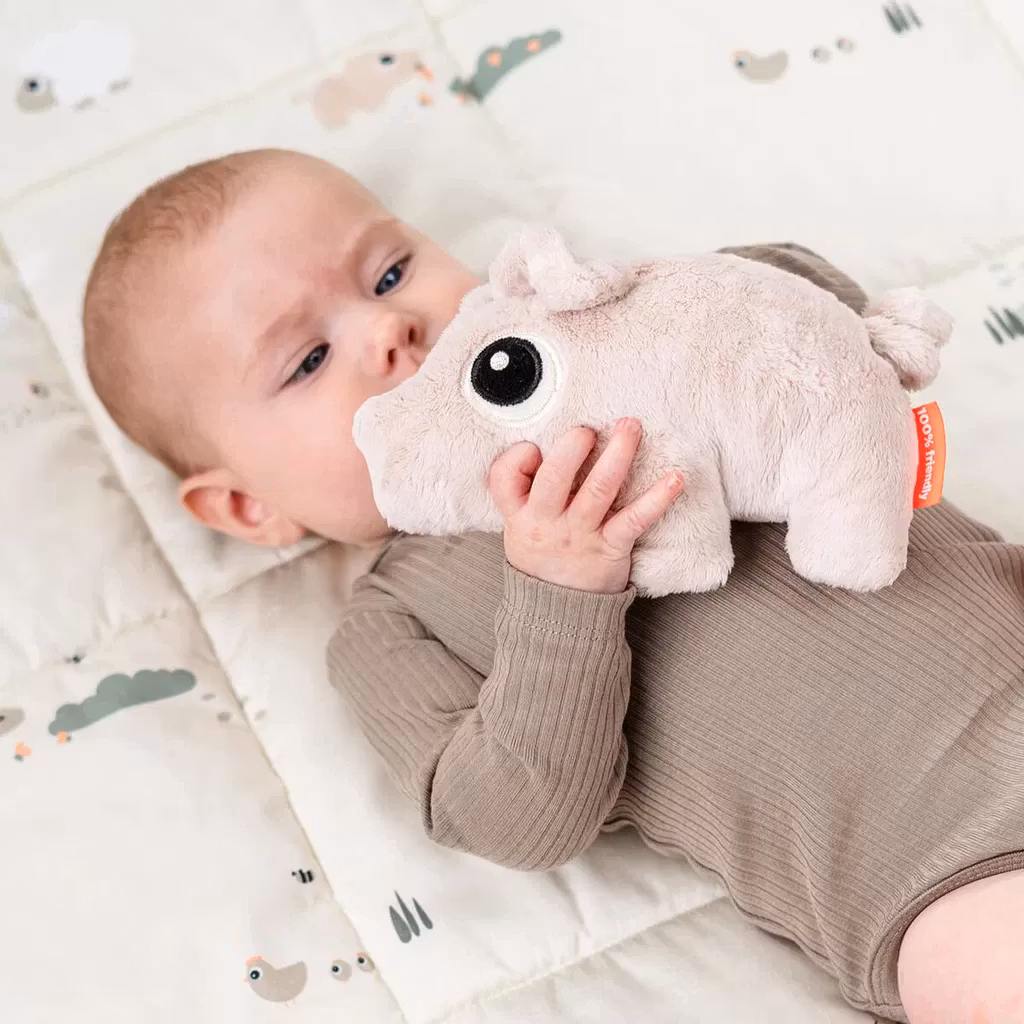 Cuddle cute Pigee