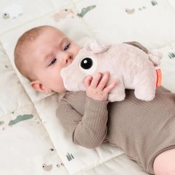 Cuddle cute Pigee