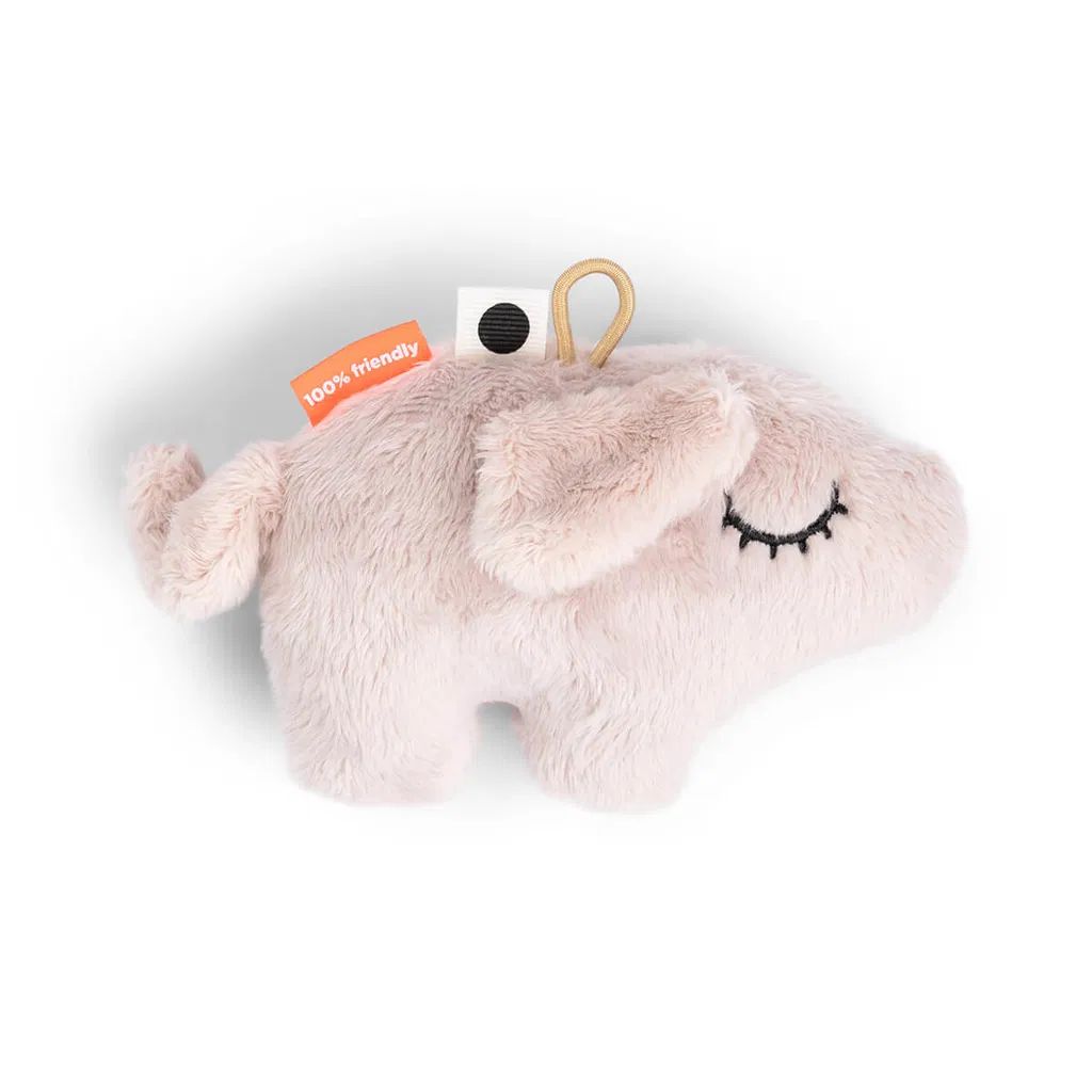 Tiny sensory rattle Pigee