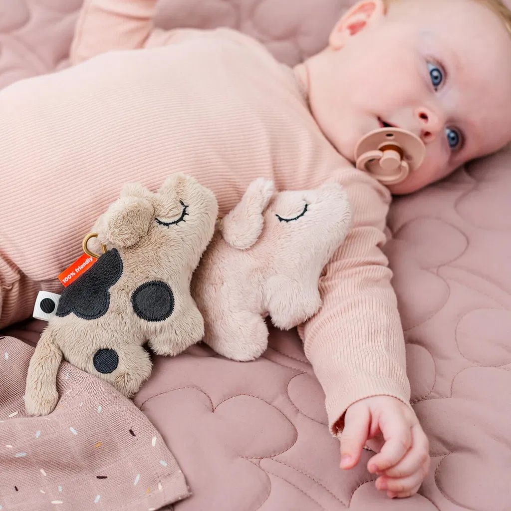 Tiny sensory rattle Pigee