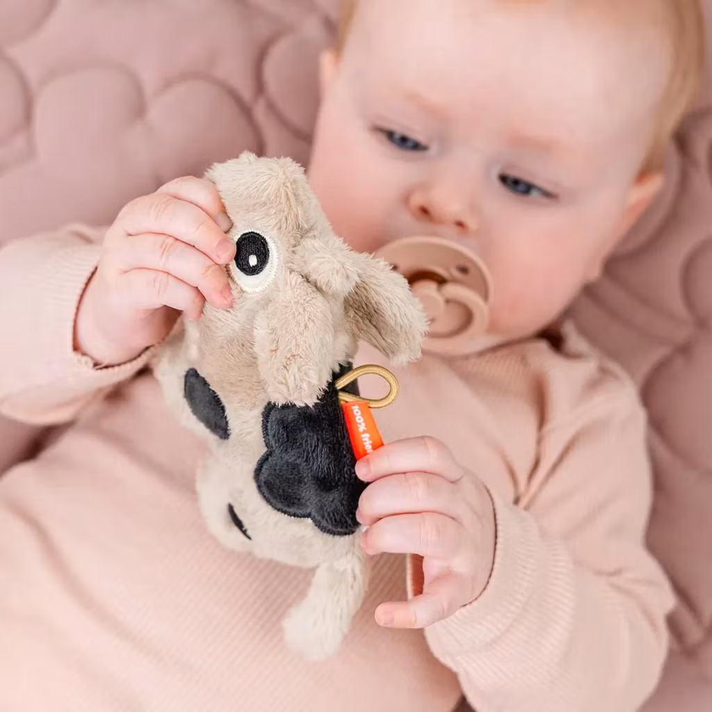 Tiny sensory rattle Dotti