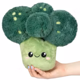 Broccoli , Squishable