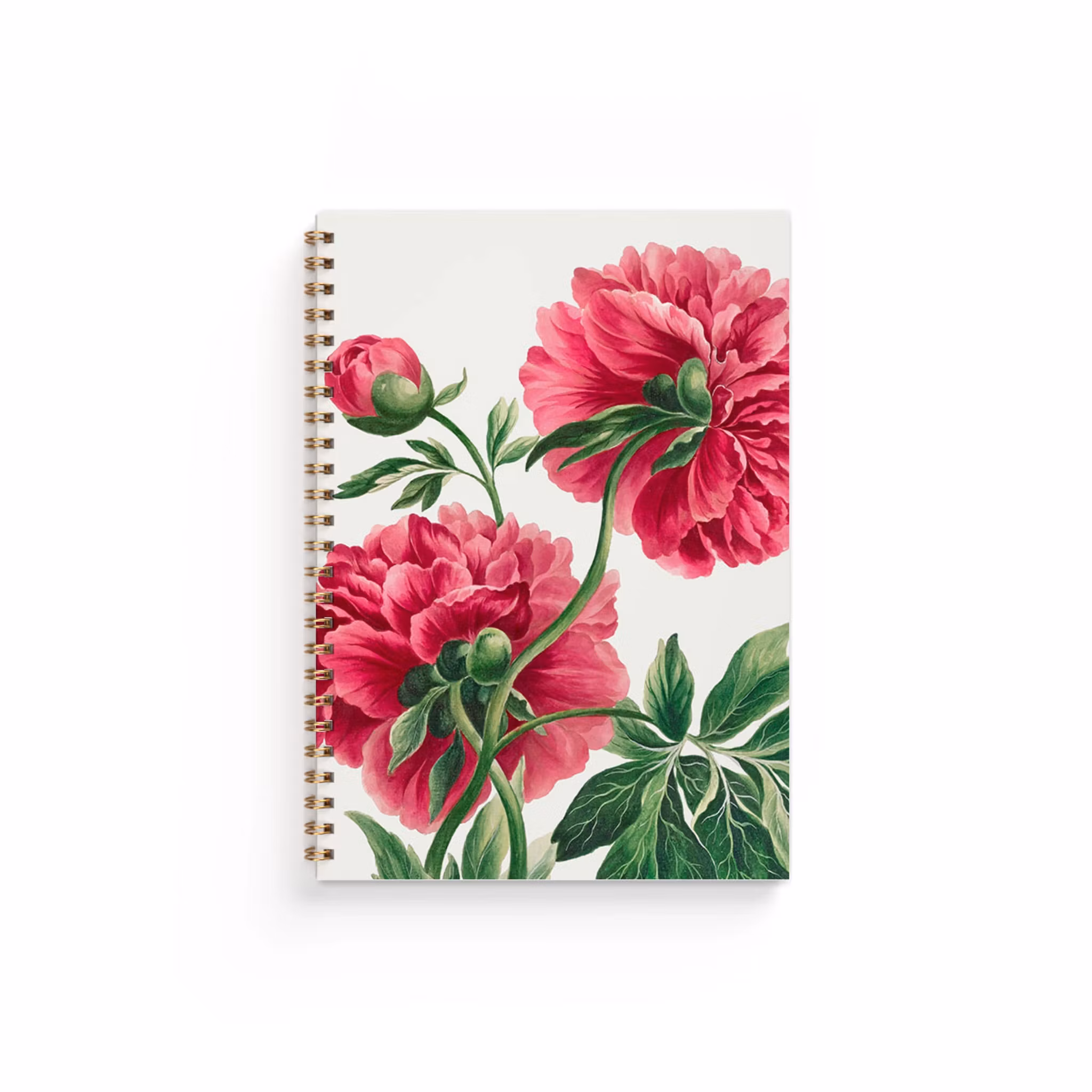 Anteckningsbok A5 Pion linjerad