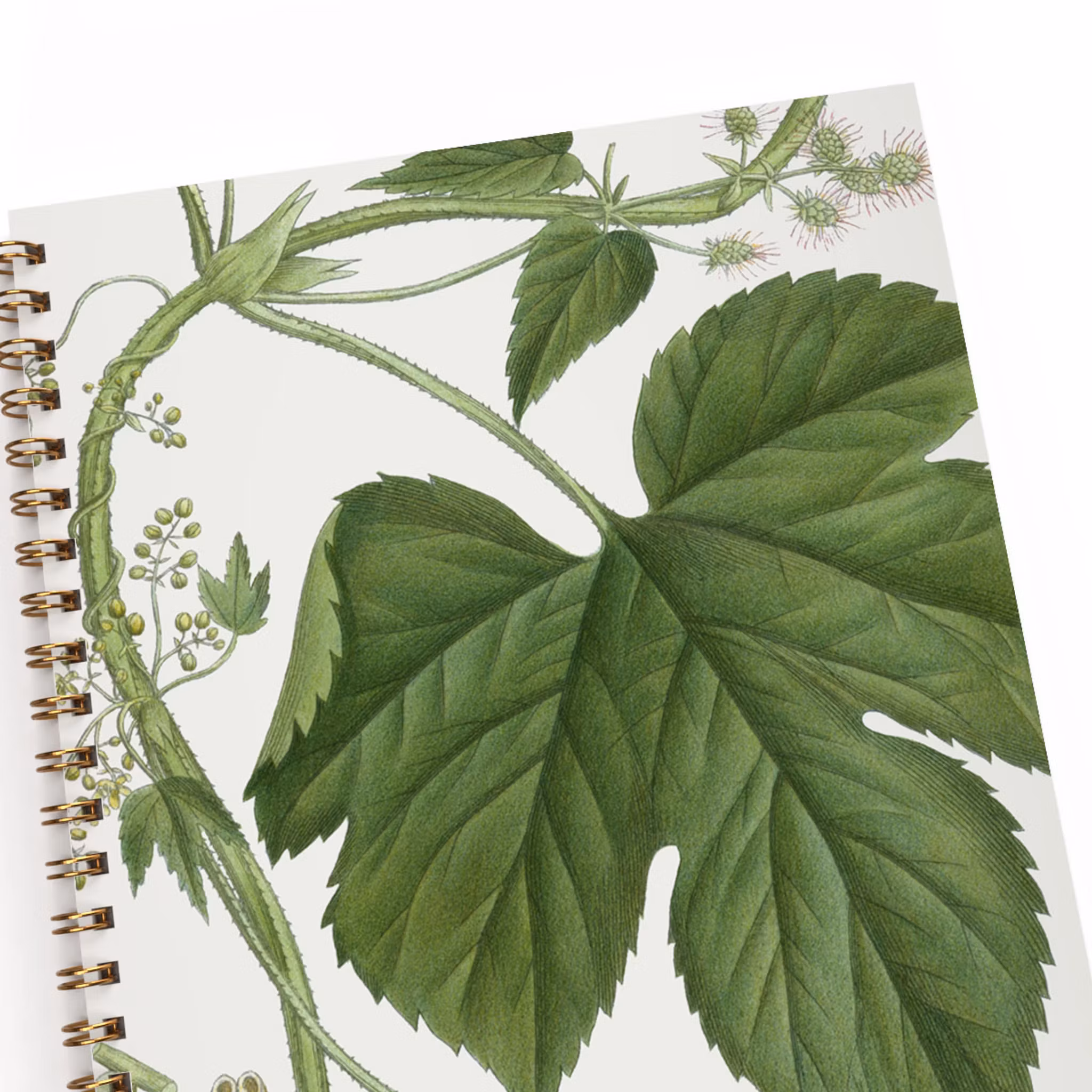 Anteckningsbok A5 Humle linjerad