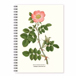 Anteckningsbok A5 Luktnypon linjerad