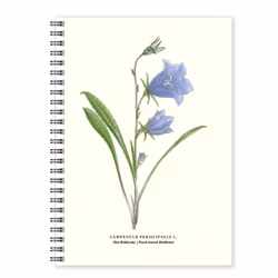 Anteckningsbok A5 Blåklocka linjerad