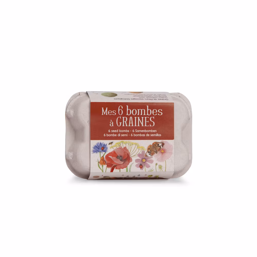 Set med 6 fröbomber i kartong