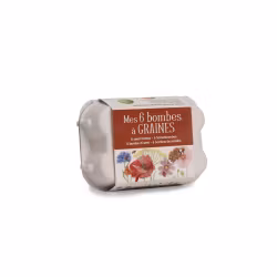 Set med 6 fröbomber i kartong