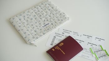 Flat Pouch - Viola