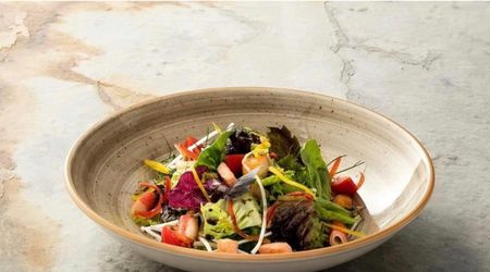 TERRAIN Tallrik djup D20cm