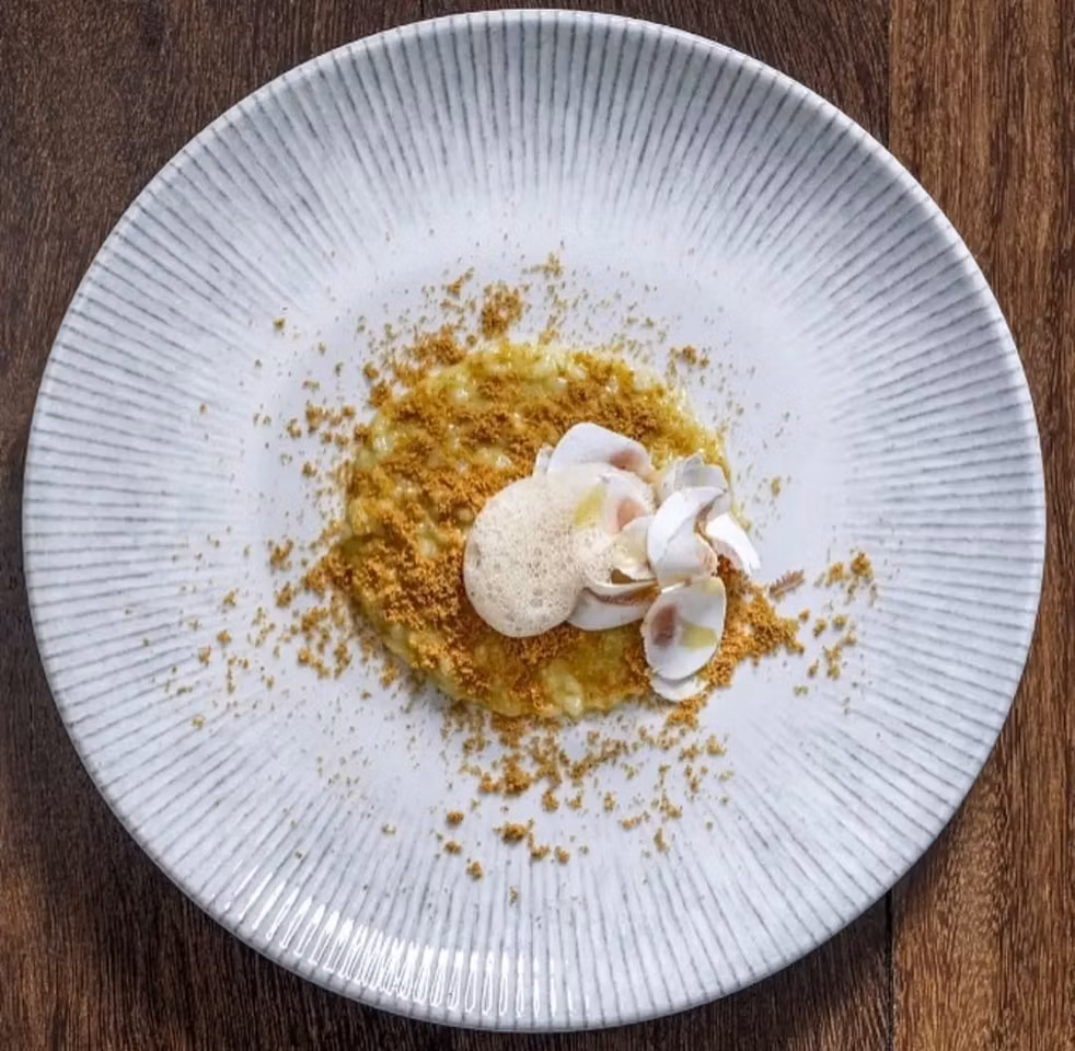 IRIS Tallrik Gourmet flat D21cm