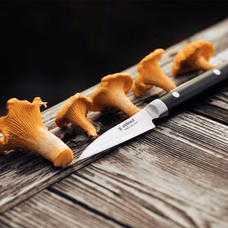 Skalkniv 8 cm Kasumi