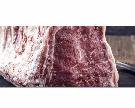 MörningsKylskåp DELUXE MEAT 700 Rostfridörr P GA, B702xD810xH2080mm, SAMAREF