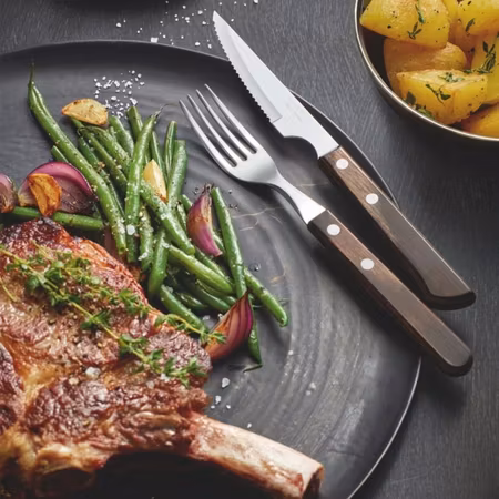 Grillbestick Polywood , Brasilianska Tramontina